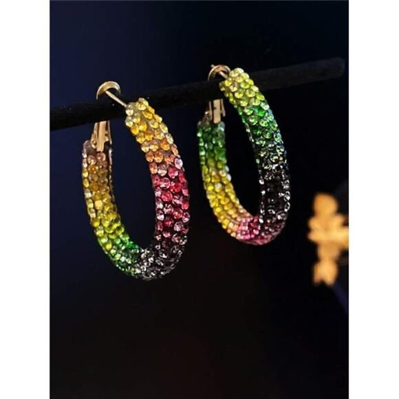 Multicolor Hoop Earrings - Picture 2 of 6
